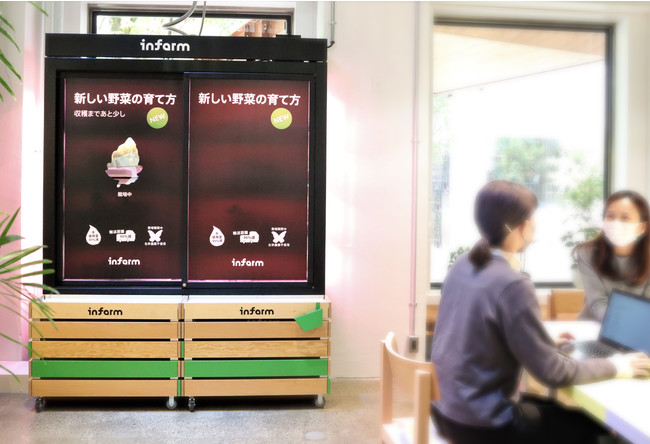 THE CAMPUSに設置された販売開始前の「ファーム(水耕栽培装置)」。6月9日(木)以降は前面が透明な扉に変わり、野菜の生育状況を観察いただけます。 THE CAMPUSに設置された販売開始前の「ファーム(水耕栽培装置)」。6月9日(木)以降は前面が透明な扉に変わり、野菜の生育状況を観察いただけます。