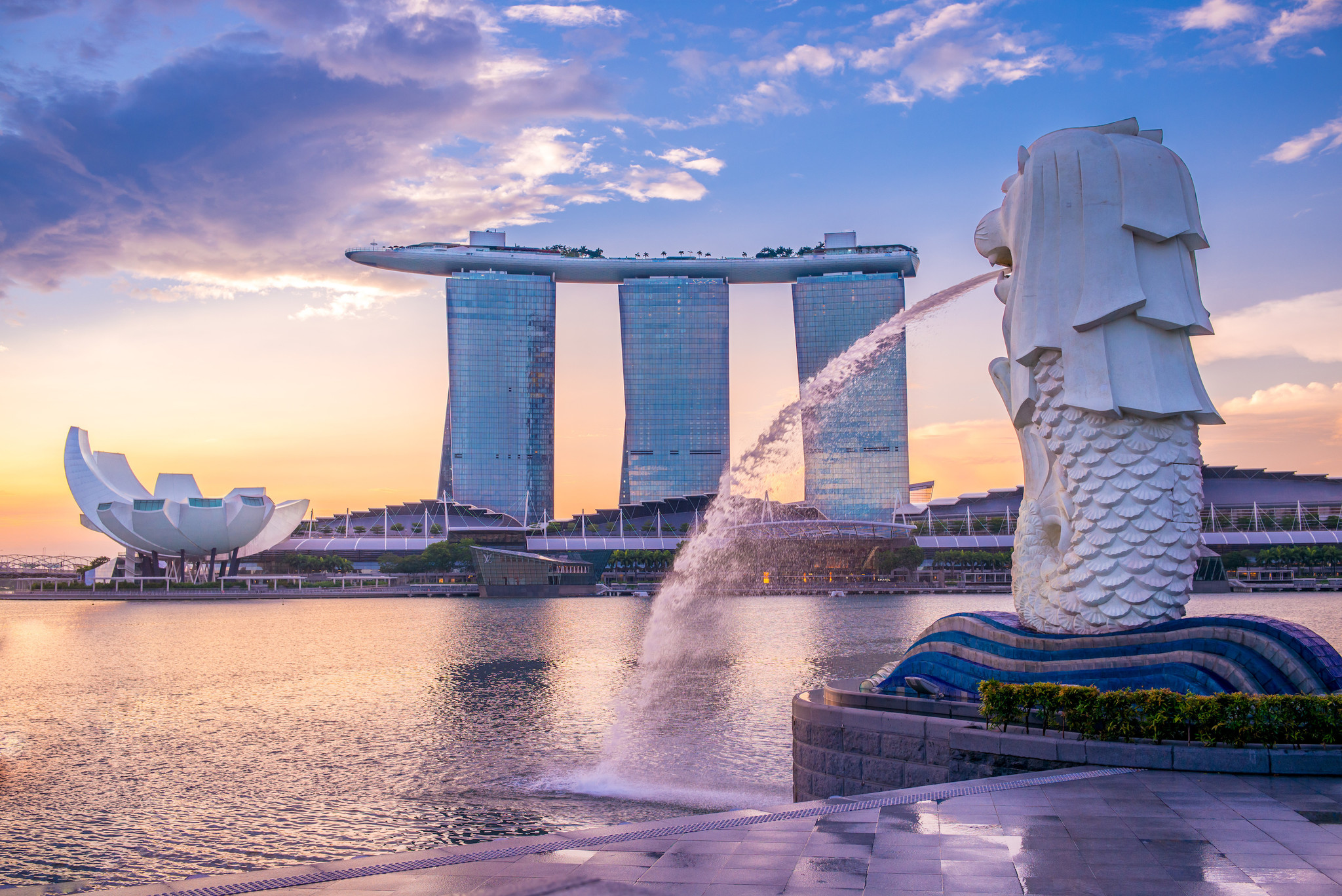 AIメディカルサービス、シンガポールに現地法人を設立