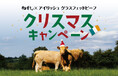 アイルランド政府食糧庁 Bord Bia(ボード・ビア)・ 牛たん専門店<ねぎし>共催