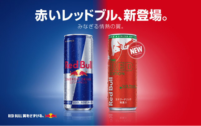 今ダケ送料無料 レッドブル エナジードリンク 250ml×24本 1ケース