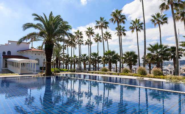 リビエラ逗子マリーナ 水盤に映るヤシ並木 リビエラ逗子マリーナ 水盤に映るヤシ並木