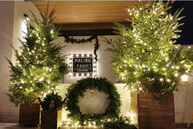 エントランスや店内には、リビエラのフローリストが手掛けた華やかなクリスマスコーディネートで皆様をお迎えします。 エントランスや店内には、リビエラのフローリストが手掛けた華やかなクリスマスコーディネートで皆様をお迎えします。