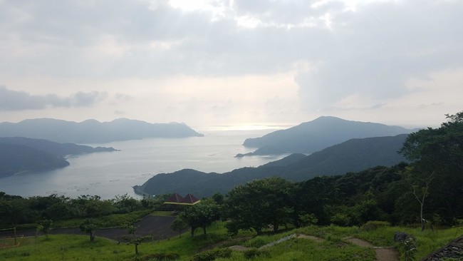 大自然の残る奄美大島 大自然の残る奄美大島