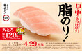 スシローのゴールデンウィークは大お得！“大とろ”と“大切りサーモン”が今なら税込120円～で登場！『スシローGW得ネタ祭 [第一弾]』開催