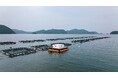 サステナブルな水産業の実現を目指す遠隔自動給餌システムの共同実証試験を開始