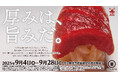 まぐろもさばも生サーモンも厚切りで。魚の風味や旨みがぐっと押し寄せる『厚みは、旨みだ。』フェア開催!