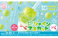 スシローのフラッペは超たのしい！混ぜてワクワク！飲んでうまうま！混ぜて楽しむひんやりスイーツの新作「まぜまぜ！シャインマスカットッペ」が登場！