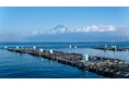 水産資源の安定調達に向けF&LCと協立の合弁会社「FOOD & LIFE KYORITSU MARINE」事業開始