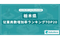 2025年版・栃木県の従業員数増加率ランキングTOP20を発表!/SalesNow DBレポート