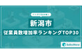 【2025年最新版】新潟市:従業員数増加率ランキングTOP30/SalesNow DBレポート