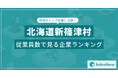 【北海道新篠津村】従業員数ランキングを公開!/SalesNow DBレポート
