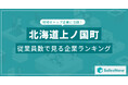 【北海道上ノ国町】従業員数ランキングを公開!/SalesNow DBレポート