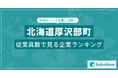 【北海道厚沢部町】従業員数ランキングを公開!/SalesNow DBレポート