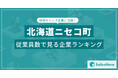 【北海道ニセコ町】従業員数ランキングを公開!/SalesNow DBレポート