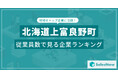 【北海道上富良野町】従業員数ランキングを公開!/SalesNow DBレポート