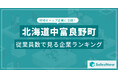 【北海道中富良野町】従業員数ランキングを公開!/SalesNow DBレポート