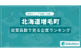 【北海道増毛町】従業員数ランキングを公開!/SalesNow DBレポート
