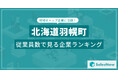 【北海道羽幌町】従業員数ランキングを公開!/SalesNow DBレポート