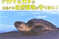 「アカウミガメの卵を守る新しい保護柵をつくるためのクラウドファンディングを実施しています」