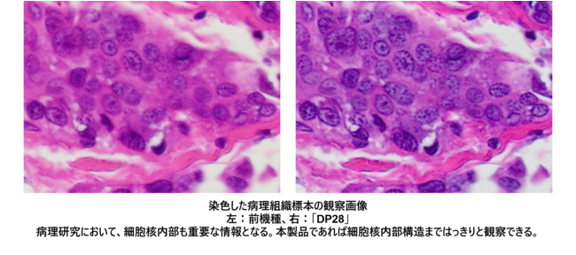 病理研究の細胞観察や製造現場での品質管理において活躍 4K解像度で