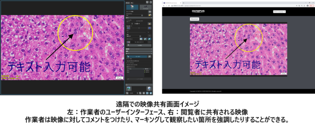 病理研究の細胞観察や製造現場での品質管理において活躍 4K解像度で