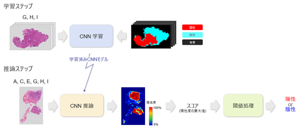 図1.本研究の全体像