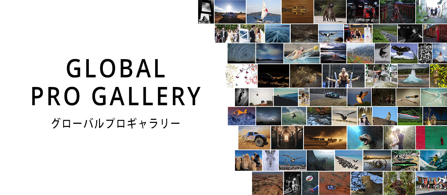 世界のプロ写真家たちが撮影した作品を閲覧できる Global Pro Gallery 開設のお知らせ オリンパス株式会社のプレスリリース