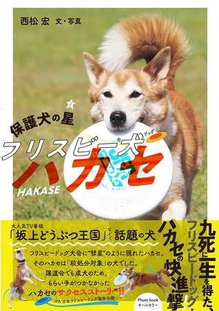 九死に一生を得た犬 の快進撃 書籍 保護犬の星 フリスビー犬ハカセ が発売 株式会社ハート出版のプレスリリース