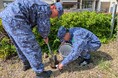 海上自衛隊舞鶴教育隊が引揚記念公園で桜の樹勢回復に向けた施肥を実施