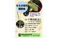 夏の夜の神秘をのぞいてみよう！加佐公民館「セミの羽化観察会」7月25日（土）開催