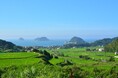 初冬の日本海の食材と地域の風土を堪能!京都府舞鶴市がお届けする新鮮な魚介や京野菜を六本木のラグジュアリーホテルで味わえるイベント“グランド グルメ トリップ~京都 舞鶴~”が開催