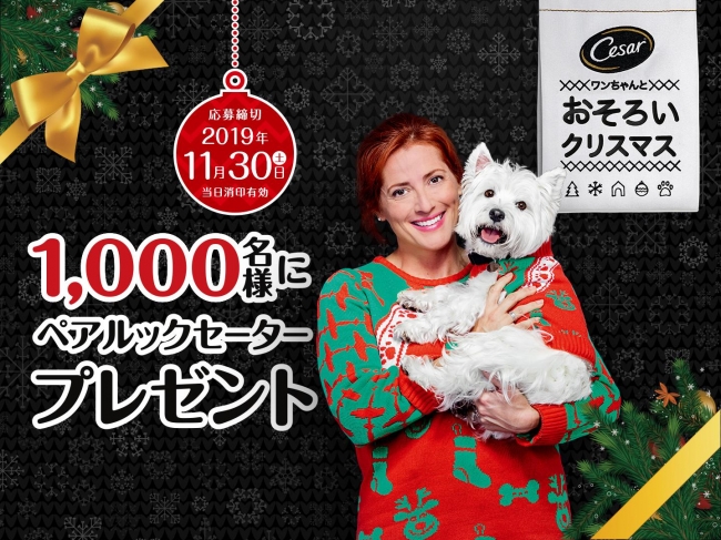 犬たちがセーターのデザイナーに シーザー ペアルックセーター プレゼントキャンペーン を実施 マースジャパンリミテッドのプレスリリース