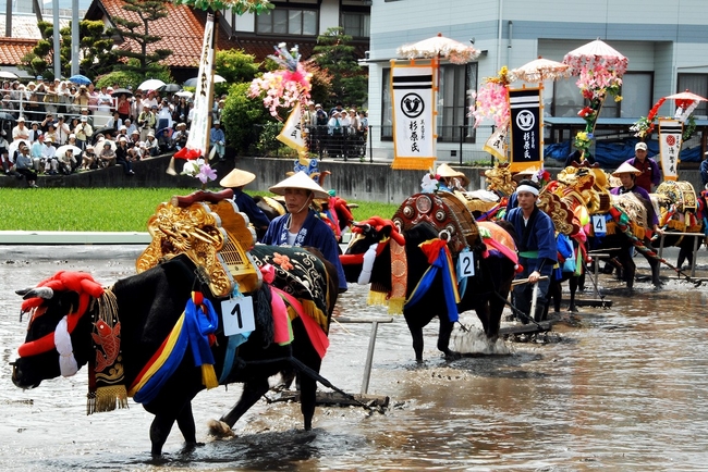 広島県の伝統文化 壬生 みぶ の花田植 ６月３日 日 ユネスコ登録後初の開催 広島県のプレスリリース