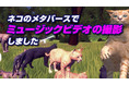 猫のメタバース「ネコデース」にてユーザー参加型ミュージックビデオの撮影イベントを開催!撮影風景を5/16YouTubeに公開