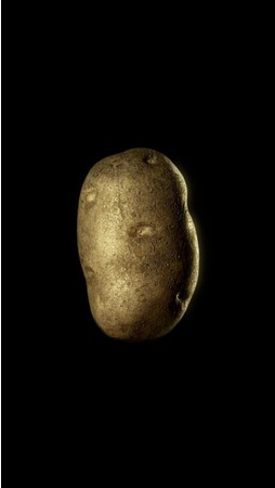 デヴィッド・オライリー(David OREILLY)《POTATO》