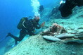 世界の水中考古学の新たな章の始まり-トルコ、アンタルヤ沖で2000年前の沈没船を発見