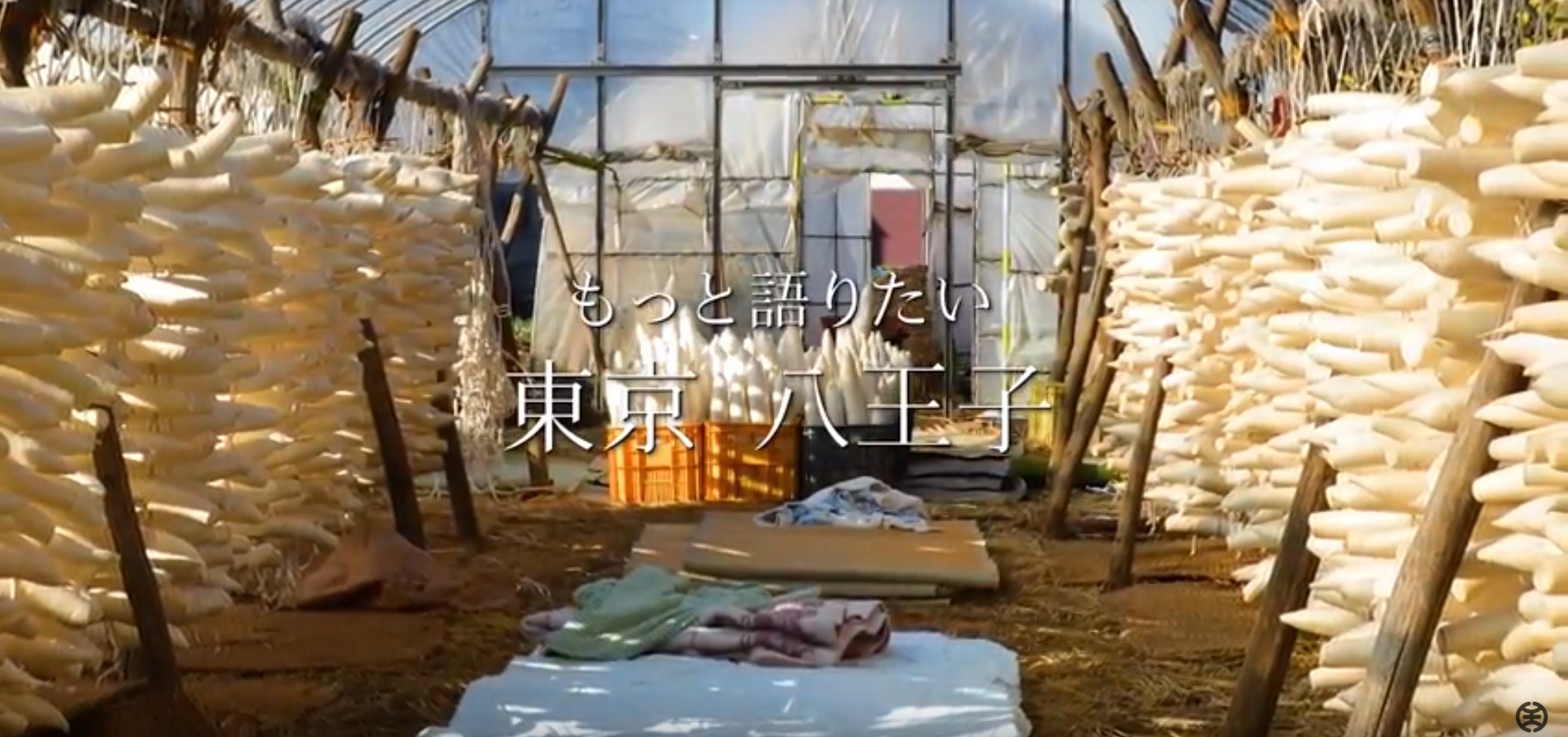 デジタルハリウッド大学 Dhu 八王子市によるシティプロモーション映像制作プロジェクト 八王子8秒動画シリーズ 全6作品を公開 デジタルハリウッド株式会社のプレスリリース