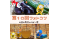 【アパマンショップ】お盆の風景とARの融合 第10回べあ~君ARフォトコンテスト