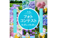 【アパマンショップ】\スマホで気軽に参加!/3Dべあ~君と紫陽花を撮って投稿しよう♪