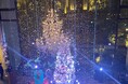 プリンセスドレス体験やキッズパティシエ体験、クリスマスワークショップなどが楽しめるクリスマスツリー点灯イベント STRINGS CHRISTMAS GIFTS 2024 ~感謝を込めた贈り物~ 開催