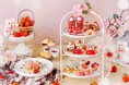 好評につき3月追加開催決定!“くまさん”をモチーフに旬のいちごとチョコレートづくしの“大人かわいい”スイーツ『ストロベリー&チョコレート アフタヌーンティー』~テディベアの贈り物~