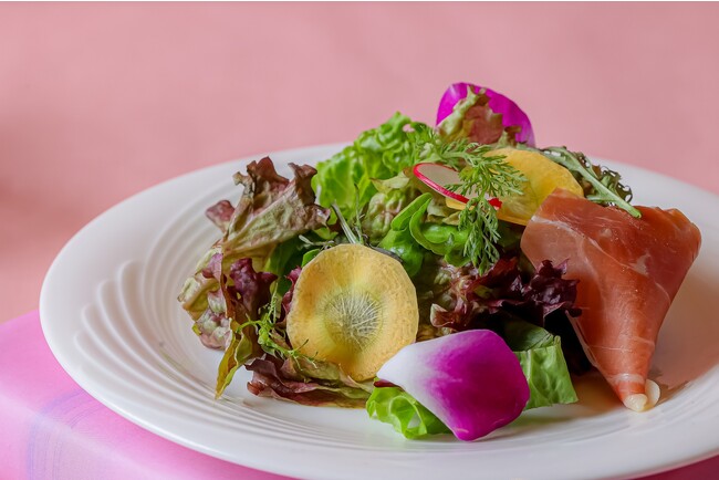 季節のサラダ 季節のサラダ