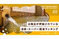 お風呂が評価されている温泉、スーパー銭湯ランキング(24年12月集計) ~1位は「美肌の湯」と「万病の湯」をダブルで楽しめる人気温泉~