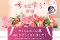 日本香堂開催の公募『母の日参り 俳壇』入選作決定!パンサー向井選出の“母との心の絆”を詠んだ4句を発表