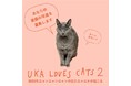 2025年ニャンニャンニャンの日にニャニかが起こる。あなたの愛猫の写真を大募集!