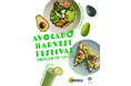 アボカド収穫祭 in ウカフェ Avocado Harvest Festival in ukafeニュージーランドの秋の恵み、プレミアムアボカド〈アバンザ〉が今年もウカフェに届きました!
