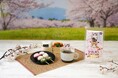 日本の春を味わうカップのふちにひっかける猫型ティーバッグ『さくらキャットカフェ』12月6日(金)に新発売!
