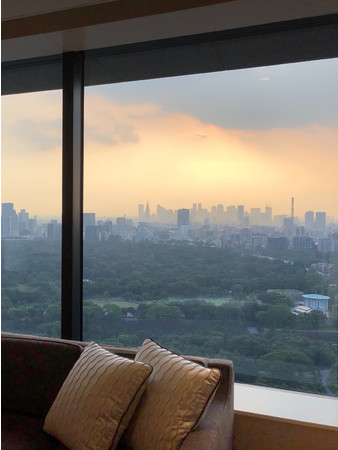 アスコット丸の内東京 皇居ビュー 一例 アスコット丸の内東京 皇居ビュー 一例