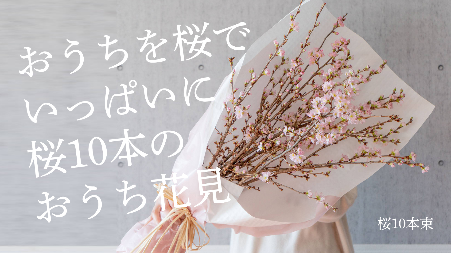 おうちを桜でいっぱいに 桜10本の おうち花見 桜 の枝60cm 10本セットを春めいたラッピングでお届け