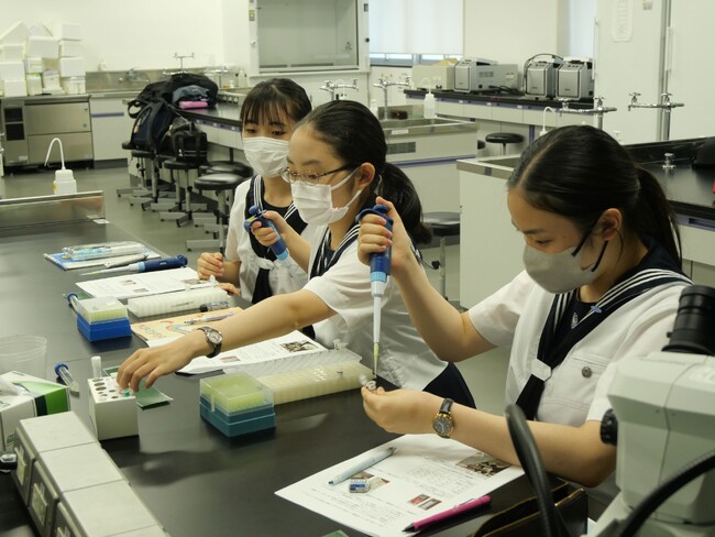 学習院高等科・女子高等科の高校生がタンパク質結晶化実験をする様子